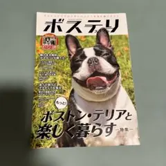 보스테리 스타일 매거진 보스턴 테리어 애완견