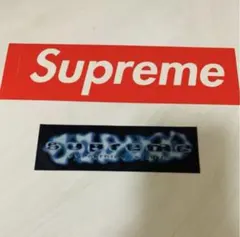 boxlogo×everything is shit sticker