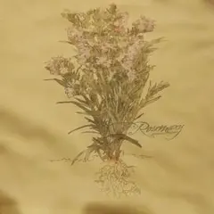 Item thumbnail for item 549e33c0-e01d-4eaa-9043-3e4145fb25c9