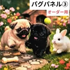 Item thumbnail for item 9717b855-b360-4bec-820d-2f76eee2d6d3