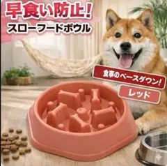 犬用 早食い防止フードボウル スローフィーダー 滑り止め付　健康ダイエット対策