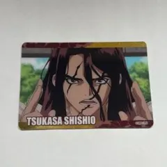 Dr.STONE R 獅子王司 コレクターズカード 即購入⭕️ まとめ売り⭕️