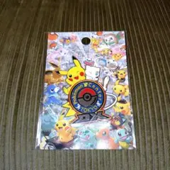 ポケモンセンター トウキョーDX ロゴピンズ ピカチュウ ミュウ 日本橋