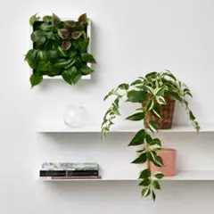 3枚セット⭐️IKEA⭐️壁掛け用人工観葉植物⭐️FEJKAフェイカ⭐️室内・屋外で可能のサムネイル
