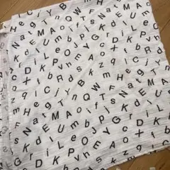 Item thumbnail for item 72ef2867-f632-484b-a171-21ef005a8f60