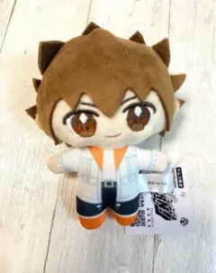 家庭教師ヒットマンREBORN! 沢田綱吉 にとたん ツナ Amazon | POP UP PARADE 家庭教師ヒットマンREBORN! 沢田綱吉