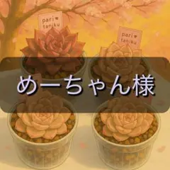 めーちゃん様　専用