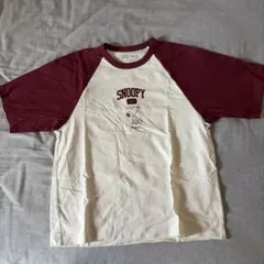 UNIQLO UT PEANUTS スヌーピー ラグランTシャツ M
