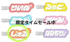 STPR Family Festival!! 2026 ランダムヘアクリップ