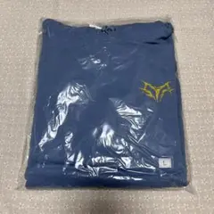 MY FIRST STORY FLEX TO THE MAX TOUR2024