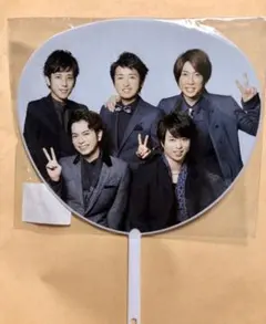 嵐 THE  DIGITALIAN ミニうちわ
