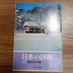 日本の詩歌 10 高村光太郎 中公文庫