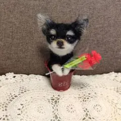 羊毛フェルト****母の日♥チワワクロタン