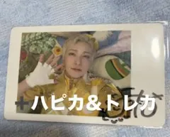2026年最新】パンダドラゴン ようたの人気アイテム - メルカリ