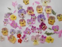 Item thumbnail for item 8c5749d5-a158-4ded-b3a3-3c5fa558c715