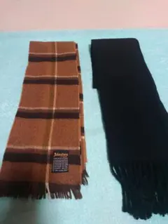 Item thumbnail for item b4a70b2c-7542-4941-bff7-77fbeaf938da