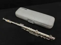 Item thumbnail for item 23ec8bd3-76e5-47ad-bae1-e4d7f944744c