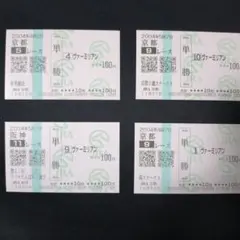 ヴァーミリアン現地単勝馬券