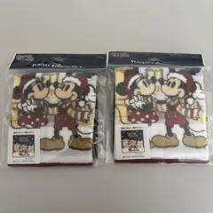東京ディズニーリゾート クリスマス ミッキー ミニー タオル 2枚