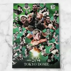 【美品】RIZIN 男祭り パンフレット 朝倉未来