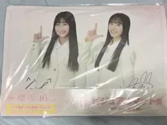 Item thumbnail for item a3da2613-8eff-4fe1-a271-2a3af36003a2