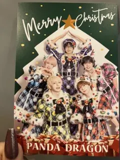 PANDA DRAGON クリスマス　ポストカード　パラゴン　パンダドラゴン