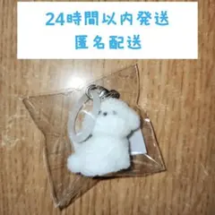 ビジョンフリーゼ　めじるしアクセサリー