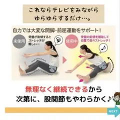 MTG Style 姿勢矯正クッションのサムネイル