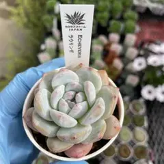 號 ‎✮⋆*プロフ文！必読！様 リクエスト 5点 まとめ商品