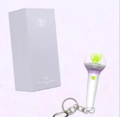 IU ペンライト　アイク 2025年最新】IU ペンライト アイクの人気アイテム - メルカリ