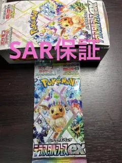 テラスタルフェス SAR 未開封パック ラストワン