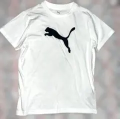 Puma キッズ　ホワイト Tシャツ サイズ150cm