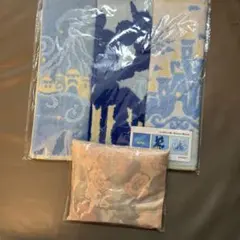 ディズニーランドホテルエコバッグ バケーションパッケージタオルセット