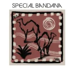 新品未開封　バンダナ　SPECIAL BANDANAのサムネイル