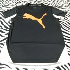 Puma スポーツ Tシャツ 黒/オレンジ