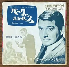レコード】ズーニーヴー ひとりぼっちの悲しみ 7インチ - メルカリ