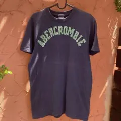 上陸前全盛期　美品　ABERCROMBIE & FITCH 総刺繍Tシャツ