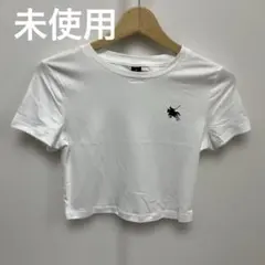 Item thumbnail for item f3262f36-4bd4-48a1-9805-e15dd9da02ba