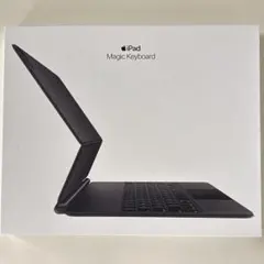 Apple Magic Keyboard MJQK3J/A 黒色