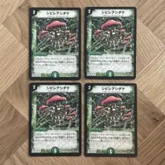 2026年最新】シビレアシダケ 初期の人気アイテム - メルカリ