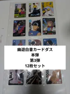 幽☆遊☆白書　幽遊白書　カードダス10枚セット　アマダ　キラ6枚含む 幽遊白書 カードダス スーパーバトル 10枚セット 幽助 飛影 神