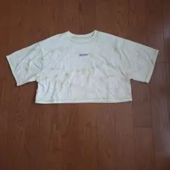 REPIPI ARMARIO 半袖Tシャツ Mサイズのサムネイル