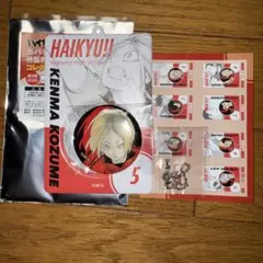 ハイキュー!!　缶バッジ&特製ホルダーコレクション　孤爪研磨