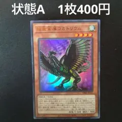 2026年最新】超重禽属コカトリウムの人気アイテム - メルカリ
