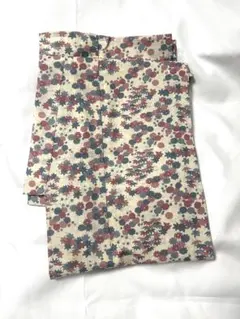 Item thumbnail for item 5344c24f-65e8-4d61-80ee-6e1977122945