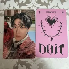 straykids スキズ do it スピーカー封入トレカ チャンビン