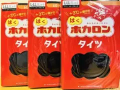 ホカロン タイツ L LL 3枚 60デニール ATSUGI タイツ