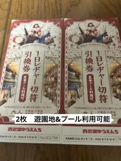 西武園ゆうえんち 1日レヂャー切符 引換券 2枚セット 夏季プール利用可