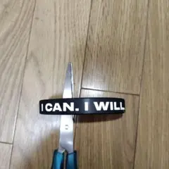 Item thumbnail for item 8e734a3c-4a1f-45e5-a7d3-14ffdcbd2388