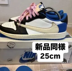 travis NIKE 25cm